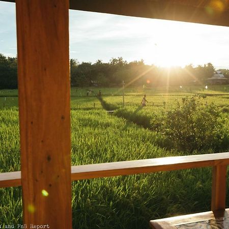 Guerrera Rice Paddy Villas Mambajao Zewnętrze zdjęcie