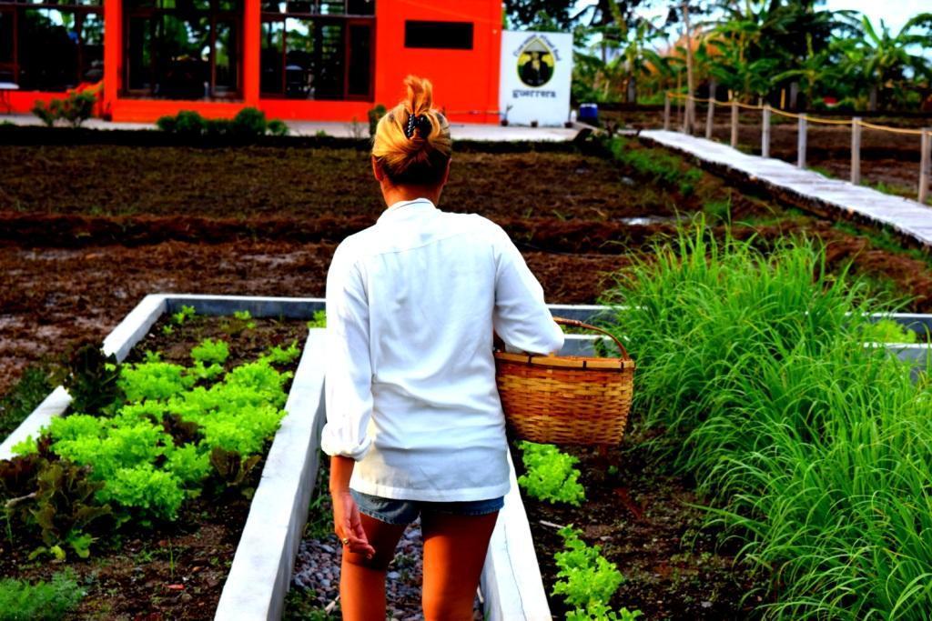 Guerrera Rice Paddy Villas Mambajao Zewnętrze zdjęcie