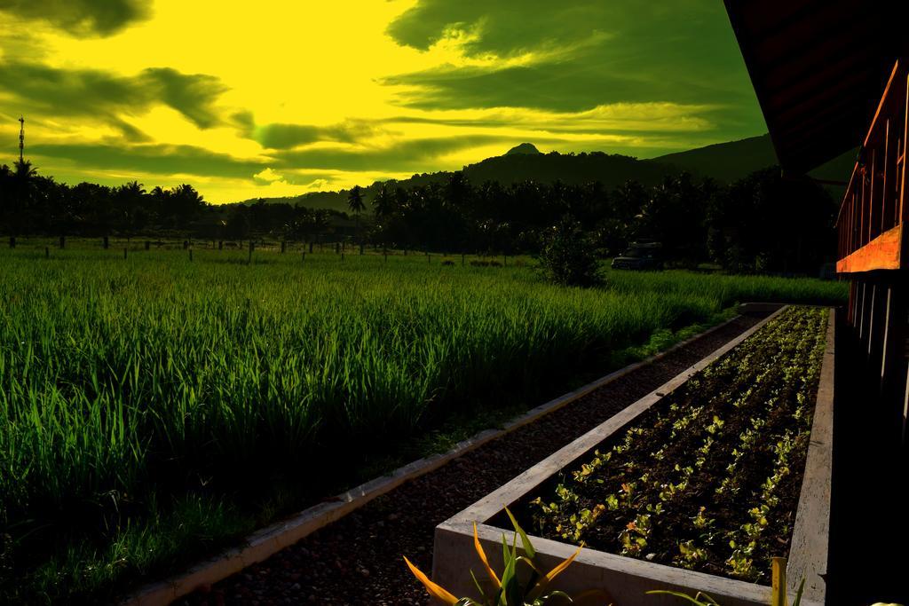 Guerrera Rice Paddy Villas Mambajao Zewnętrze zdjęcie